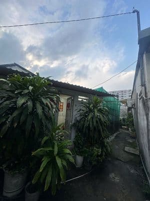 Bán 190m2 đất gần bờ kè, Phạm Thế Hiển, Phường 5, Quận 8