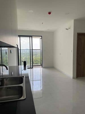 Cho thuê căn hộ 1 pn the maison tdm – nhà trống mới 100% - bao pql