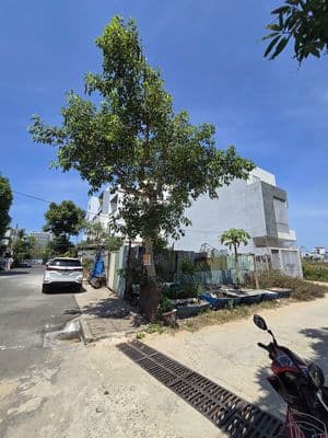 Bán đất lô góc đa mặn đông 4 & đa mặn đông 6-lh o796.6̲4̲6̲.6͙3͙6