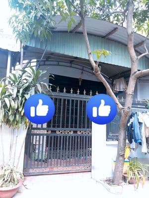 nhà cấp 4 gần ngã ba cây điệp