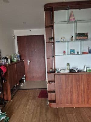 cho thuê chung cư mipec kiến hưng 2 ngủ 2vs full đồ