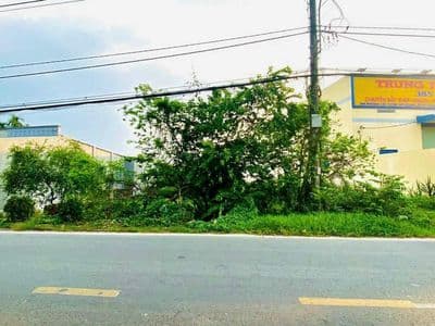 Đất đường Cây Trôm Mỹ Khánh - 3000m2 - 19x105 nở hậu - 300m2 thổ cư