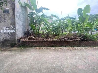 Bán đất Kính Nỗ, Thư Lâm, Đông Anh, Hà Nội - 42m2