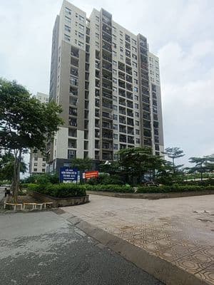 Bán căn hộ 76.8m2 Trần Hữu Dực, Từ Liêm, tặng full nội thất