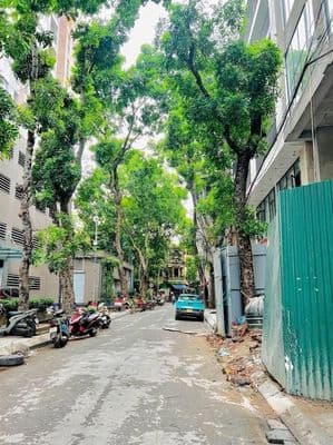 Bán nhà Lê Trọng Tấn, Thanh Xuân, 6 tầng thang máy, full nội thất