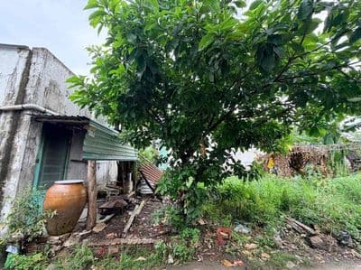 Đất vuông đẹp – 2,8 tỷ – 62m² – sát mặt tiền – giá cực tốt q12