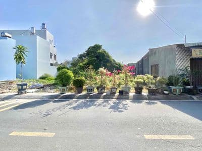 Bán Đất Mặt Tiền Huỳnh Văn Cọ - 118m² Full Thổ Cư | Giá 1 tỷ 250 Triệu