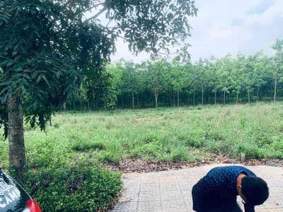 đất nền long đức Long Thành Đồng Nai