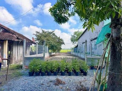 Chính Chủ Gửi 186m2 Đất Gần Bến Xe Củ Chi ( Giá Rẻ 800Tr )