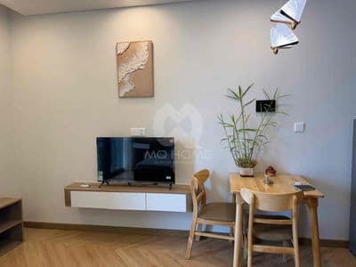 Studio panoma cho thuê- giá rẻ nhất thị trường