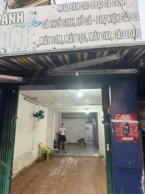 nhà nc mt đường 3,2x16m 1 lững phan Văn trị p12 Q.bình thạnh