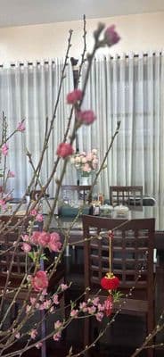 Nhà 3 mặt tiền thoáng mát giá rẽ