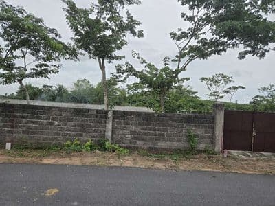 Bán đất ven biển phước hải 400m² 10x40 ngay kdc phan gia 2,2 tỷ