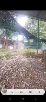 cho thuê mb kinh danh an phú đông quận 12