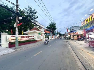 Bán đất thổ cư 100%, SHR, 65m2, Hồ Văn Long, Tỉnh Lộ 10