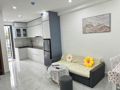 Cho thuê căn hộ 2 pn siêu xinh khu vực phường 9 view rừng thông