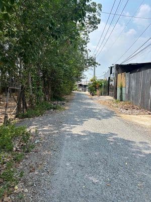 xưởng Trung lập hạ xã mới nhuận Đức
