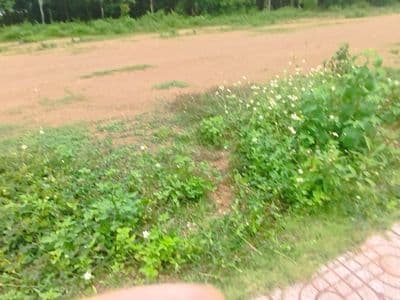 Cần bán gấp mảnh đất, đầu tư sinh lời