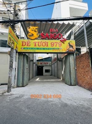 Bán nhà 373/1 Lý Thường Kiệt, P9, Tân Bình (217m²)