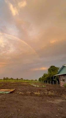 Bán đất trung an , ven sông sài gòn thổ cư 300m