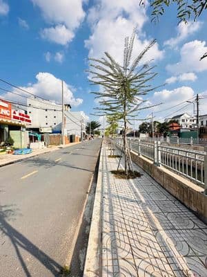 Nhà đẹp diện tích khủng 85m² đất – giá chỉ 6,59 tỷ