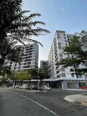 Cho thuê căn hộ chung cư C2 Phú Mỹ Studio mới 100%