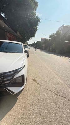 Nhà mặt tl295 – ngã ba lý viên, xuân cẩm xuân cẩm – bắc ninh (hiệ