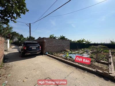 Bán đất Hương Đình Đoài - Mai Đình, Sóc Sơn, 91m2, full thổ cư