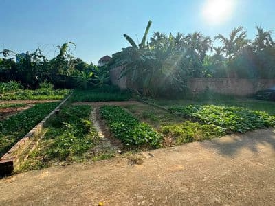 Bán đất Sóc Sơn, đối diện trường đua ngựa, giá nhỉnh 2 tỷ