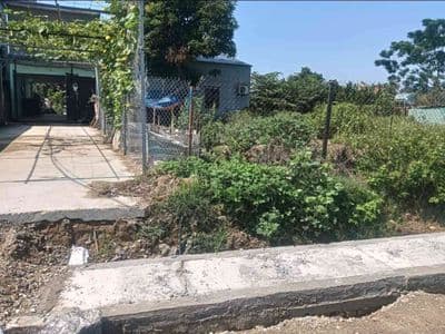 Bán đất kinh doanh Bắc Vọng - Đa Phúc, Đông Anh