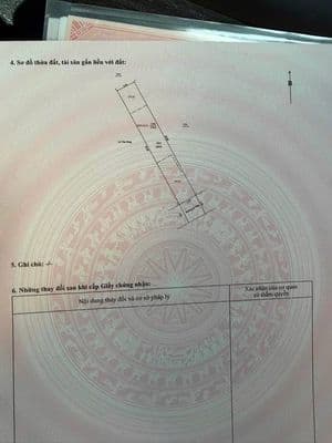 Bán 2 lô đất P. Phú Hoà, Bình Dương - 135m2 & 168m2
