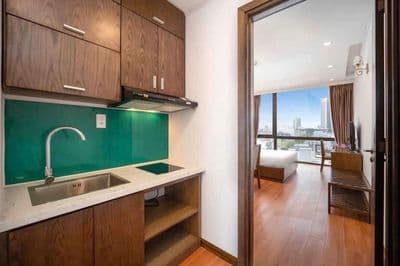 Cho thuê căn hộ 1pn đường Ngô quyền, quận sơn trà, oto đỗ, yên tĩnh