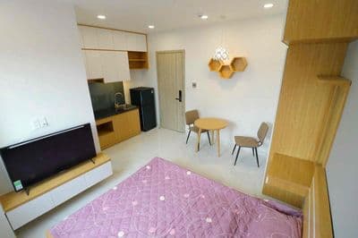 siêu phẩm studio mới full nội thất cao cấp ngay cầu Nguyễn Tri Phương