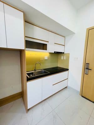 Cho thuê Căn hộ hòa xuân full nội thất 1 phòng ngủ