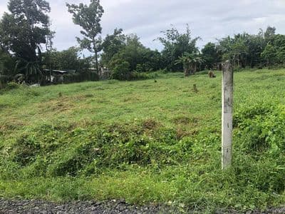 Bán nhanh đất 319m2 ngay sát bệnh viện Xuyên Á Giá chỉ có 1 tỷ 2