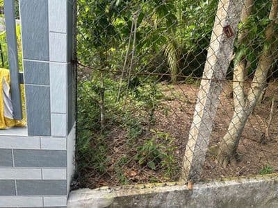 Nền gần trường tiểu học, sát chợ