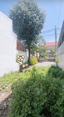 Chính chủ bán Đất đối diện Mẫu Giáo Tân Kim Cần Giuộc