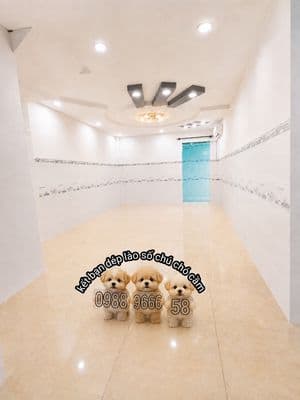 Mặt bằng 35m2, trần cao 3m, phù hợp làm kho