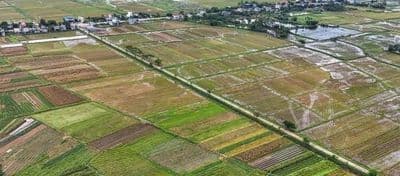 Đất nông nghiệp lớn gần chợ Hiệp Phước mới