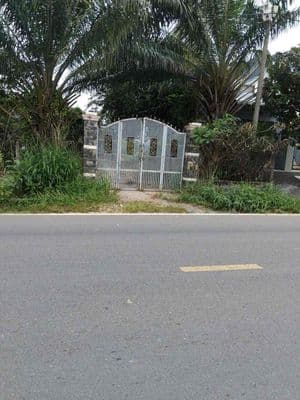 Mặt tiền nguyễn kim cương – hơn 1.000m² – chỉ 3,7 tỷ