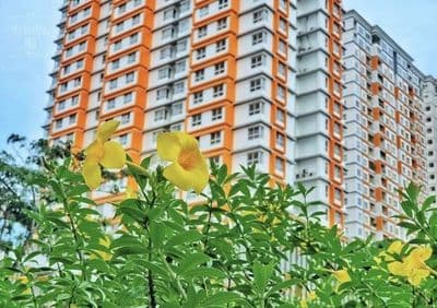 Cho thuê dragon hill 2pn full 12 triệu, 3pn full 13 triệu