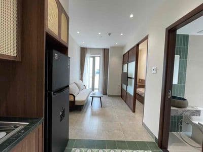 Cho thuê Căn Hộ cao cấp mặt tiền đường Tuy Lý Vương Khu Nam Việt Á