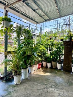 Ann cho thuê nhà nguyên căn mặt tiền đường Hùng Vương giá 3,5tr có TL