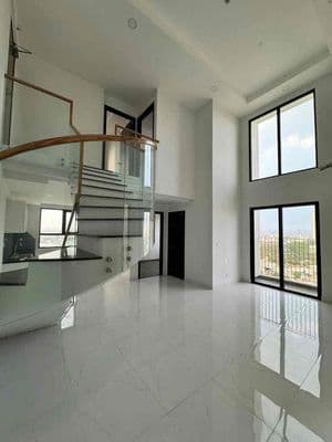 Cho thuê Duplex căn hộ Pegasuite 2-Tạ Quang Bửu P6. Q8.