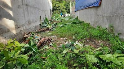 Hàng Ngộp SHR ( 5x38M Giá 730Tr ) TL 7 ngay chợ Phước Thạnh - Củ Chi