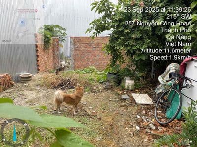 Cần bán đất và nhà