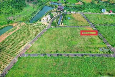Chủ bán gấp lô đất view hồ 5x29,4 có thổ cư – phường 2, bảo lộc