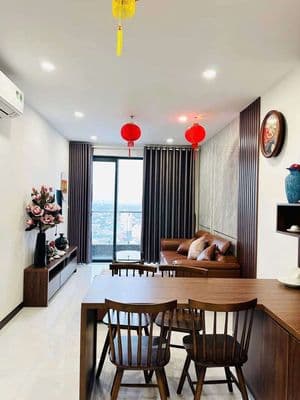 Thuê căn hộ 2pn full nội thất cao cấp – c skyview chánh nghĩa tdm bd