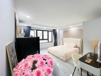 Căn hộ studio full nội thất sat lotte mart, đại học tdtu, ufm, rmit