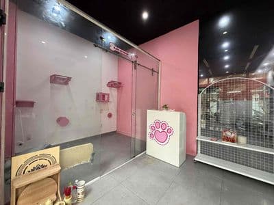 Mặt Bằng Lối đi Riêng Tại Ngô Tất Tố Quận Bình Thạnh - 60m2